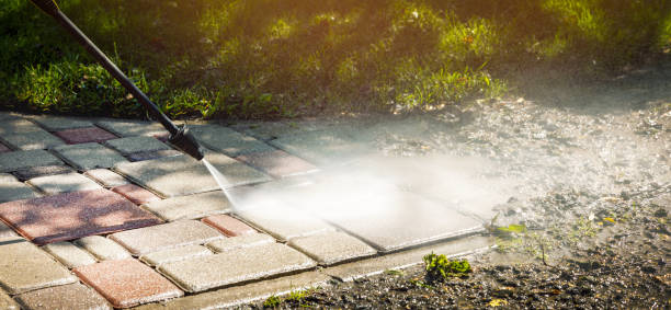 Best Roof Washing  in Plymouth, CA